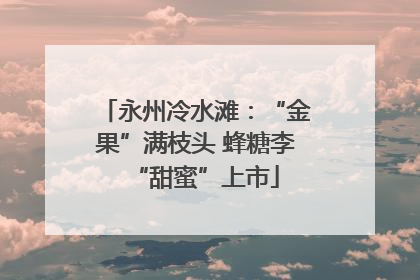 永州冷水滩：“金果”满枝头 蜂糖李“甜蜜”上市