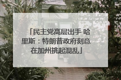 民主党高层出手 哈里斯：特朗普政府刻意在加州挑起混乱