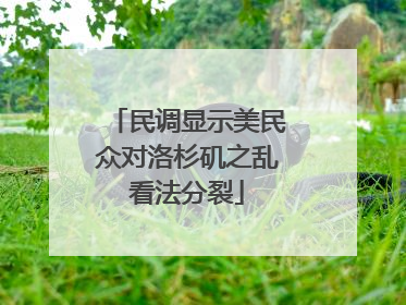 民调显示美民众对洛杉矶之乱看法分裂