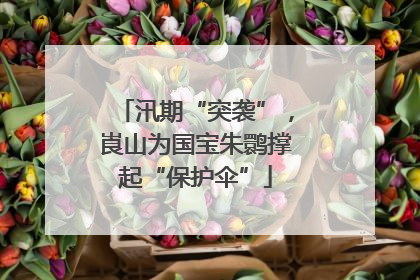 汛期“突袭”，崀山为国宝朱鹮撑起“保护伞”