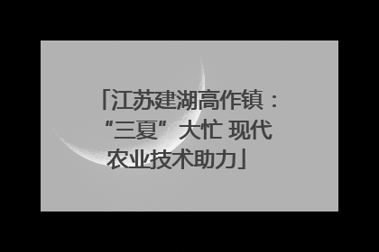 江苏建湖高作镇：“三夏”大忙 现代农业技术助力