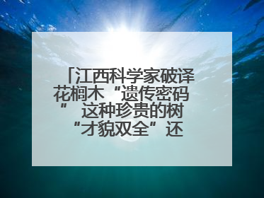 江西科学家破译花榈木“遗传密码” 这种珍贵的树 “才貌双全”还能抗“EMO”