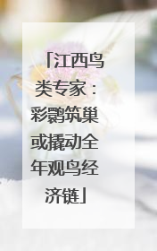江西鸟类专家：彩鹮筑巢或撬动全年观鸟经济链