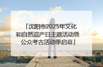 沈阳市2025年文化和自然遗产日主题活动暨公众考古活动季启幕