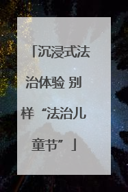 沉浸式法治体验 别样“法治儿童节”