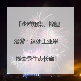 沙鸥翔集、锦鲤漫游：这处工业岸线变身生态长廊