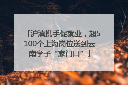 沪滇携手促就业，超5100个上海岗位送到云南学子“家门口”
