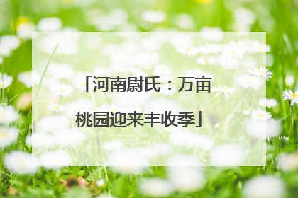 河南尉氏：万亩桃园迎来丰收季