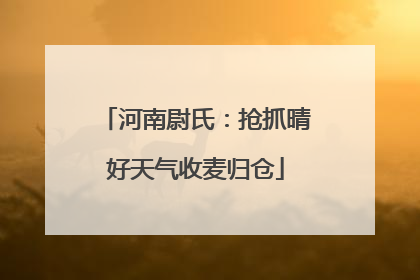 河南尉氏：抢抓晴好天气收麦归仓