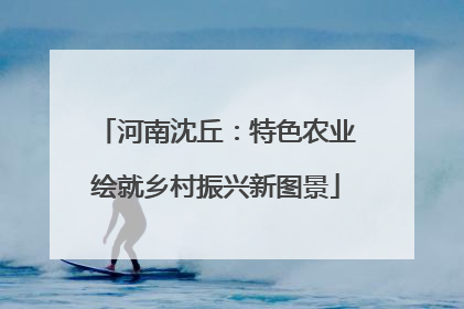 河南沈丘：特色农业绘就乡村振兴新图景