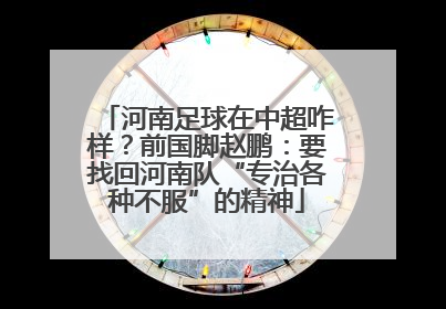 河南足球在中超咋样？前国脚赵鹏：要找回河南队“专治各种不服”的精神