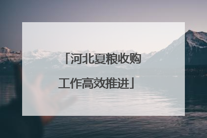 河北夏粮收购工作高效推进