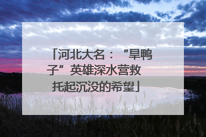 河北大名：“旱鸭子”英雄深水营救 托起沉没的希望