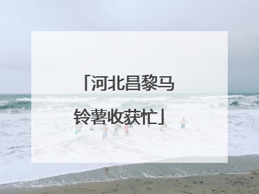 河北昌黎马铃薯收获忙