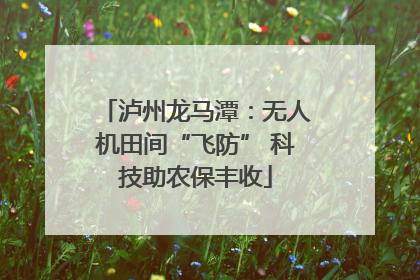 泸州龙马潭：无人机田间“飞防” 科技助农保丰收