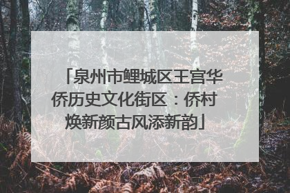 泉州市鲤城区王宫华侨历史文化街区：侨村焕新颜古风添新韵