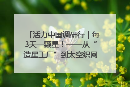 活力中国调研行｜每3天一颗星！——从“造星工厂”到太空织网的“银河速度”