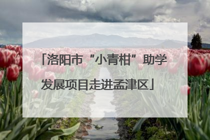 洛阳市“小青柑”助学发展项目走进孟津区