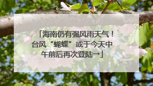 海南仍有强风雨天气！台风“蝴蝶”或于今天中午前后再次登陆→
