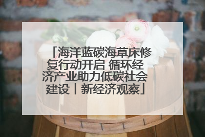 海洋蓝碳海草床修复行动开启 循环经济产业助力低碳社会建设丨新经济观察