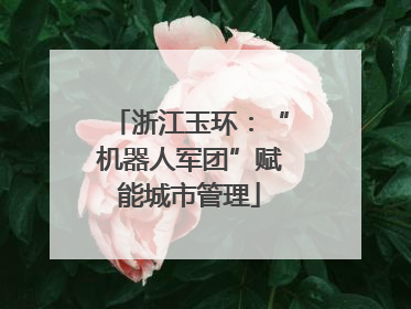 浙江玉环：“机器人军团”赋能城市管理