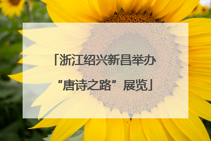 浙江绍兴新昌举办“唐诗之路”展览