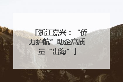 浙江嘉兴：“侨力护航”助企高质量“出海”