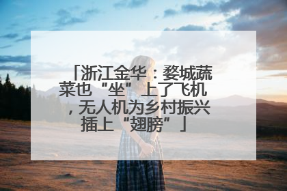 浙江金华：婺城蔬菜也“坐”上了飞机，无人机为乡村振兴插上“翅膀”