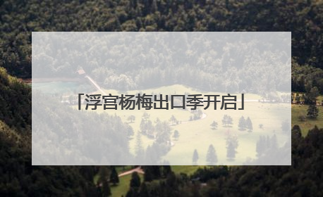 浮宫杨梅出口季开启
