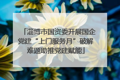 淄博市国资委开展国企党建“上门服务月”破解难题助推党建赋能