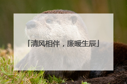 清风相伴，廉暖生辰