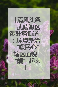 清风头条｜武陵源区锣鼓塔街道：环境整治“暖民心” 辖区面貌“靓”起来