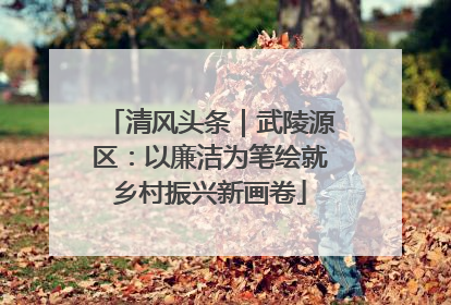 清风头条｜武陵源区：以廉洁为笔绘就乡村振兴新画卷