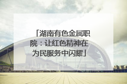 湖南有色金属职院：让红色精神在为民服务中闪耀