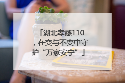 湖北孝感110，在变与不变中守护“万家安宁”