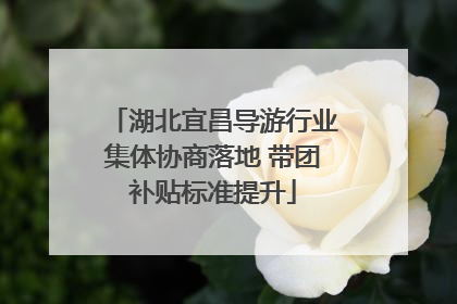 湖北宜昌导游行业集体协商落地 带团补贴标准提升