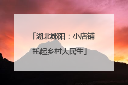 湖北郧阳：小店铺托起乡村大民生