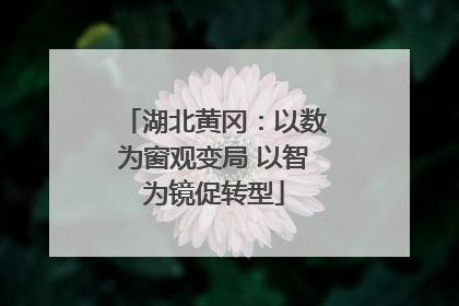 湖北黄冈：以数为窗观变局 以智为镜促转型