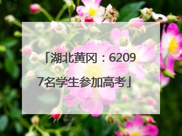 湖北黄冈：62097名学生参加高考