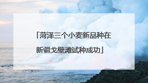 菏泽三个小麦新品种在新疆戈壁滩试种成功