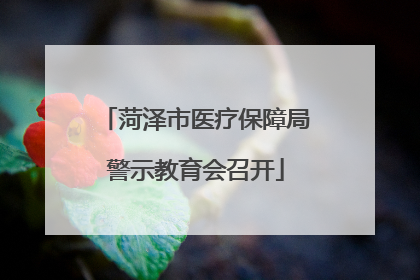 菏泽市医疗保障局警示教育会召开