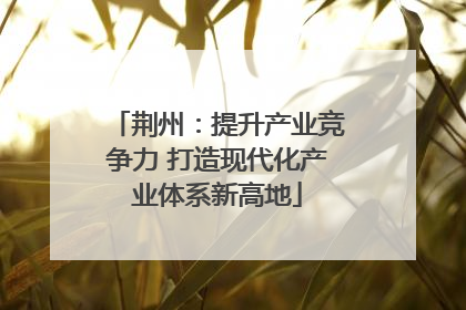 荆州：提升产业竞争力 打造现代化产业体系新高地