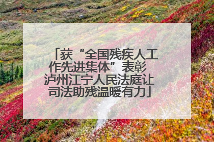 获“全国残疾人工作先进集体”表彰 泸州江宁人民法庭让司法助残温暖有力