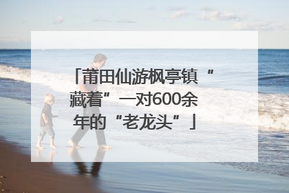 莆田仙游枫亭镇“藏着”一对600余年的“老龙头”