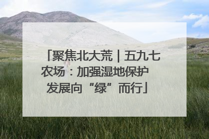 聚焦北大荒｜五九七农场：加强湿地保护 发展向“绿”而行