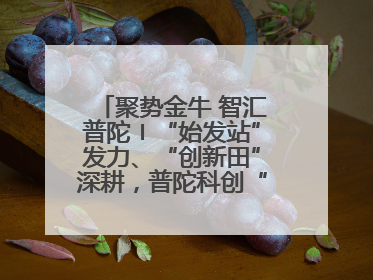 聚势金牛 智汇普陀〡“始发站”发力、“创新田”深耕，普陀科创“金牛”闪耀
