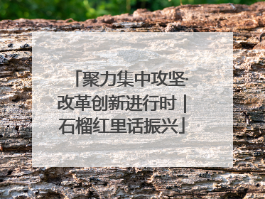 聚力集中攻坚·改革创新进行时｜石榴红里话振兴