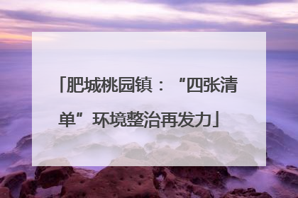 肥城桃园镇：“四张清单”环境整治再发力