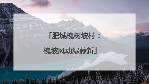 肥城槐树坡村：槐坡风动绿藤新