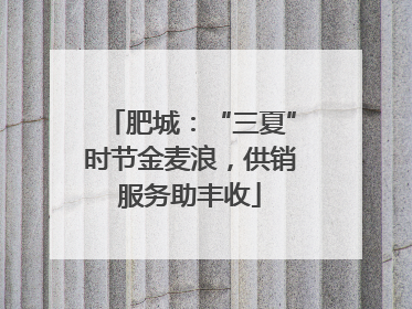 肥城：“三夏”时节金麦浪，供销服务助丰收